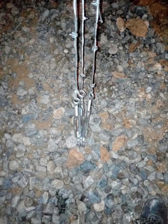 006
